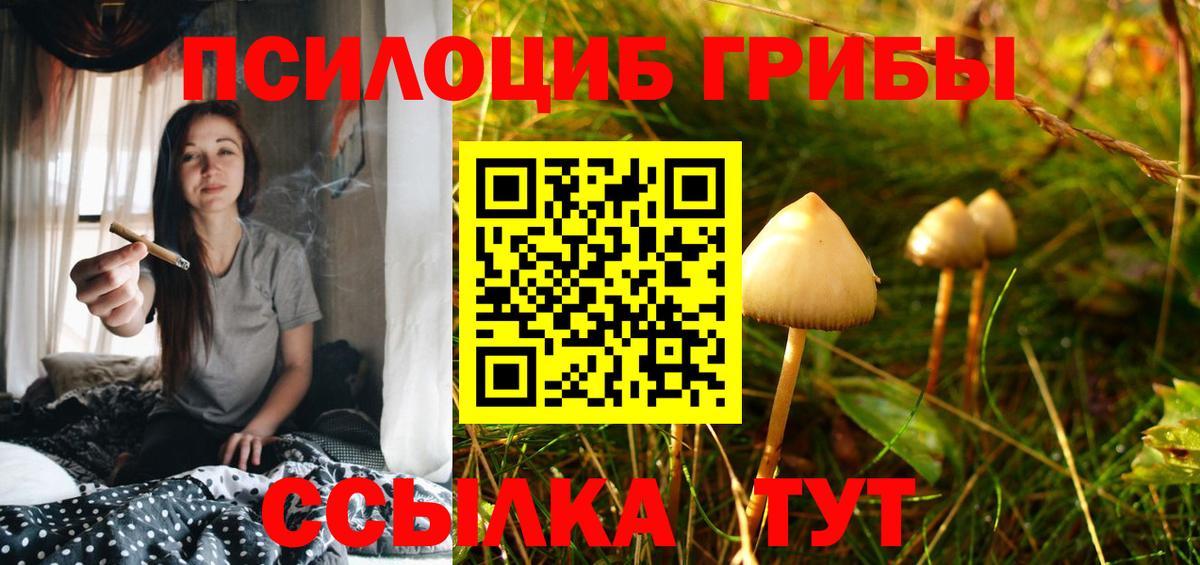 Архангельск  Псилоцибиновые грибы Cubensis  Вход с VPN 
